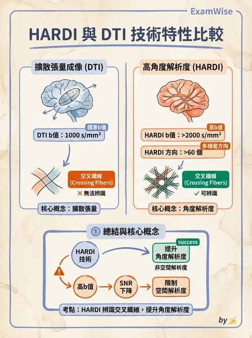 放射 - MRI基本物理與弛緩 - AI 圖文解析預覽