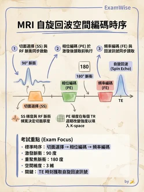 放射 - 梯度線圈與空間編碼 - AI 圖文解析預覽