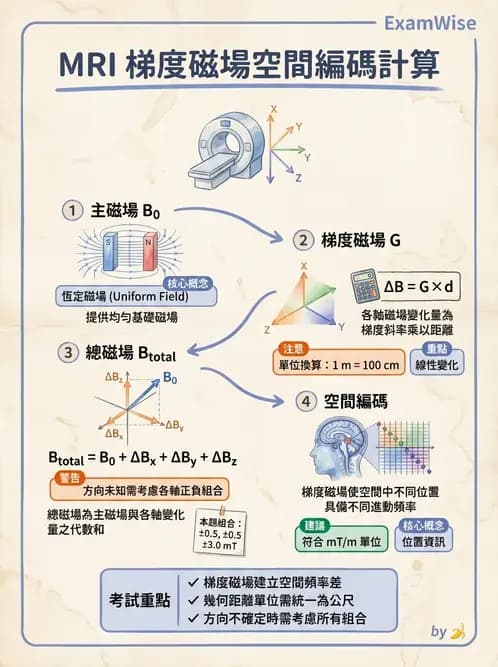 放射 - 梯度線圈與空間編碼 - AI 圖文解析預覽