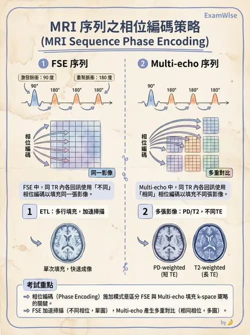 放射 - 梯度線圈與空間編碼 - AI 圖文解析預覽
