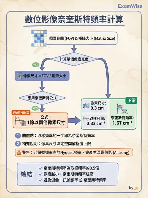放射 - SPECT影像重建與濾波 - AI 圖文解析預覽