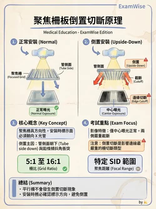 放射 - X光成像系統與影像品質 - AI 圖文解析預覽