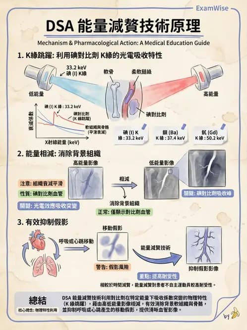 放射 - 血管攝影與透視攝影裝置 - AI 圖文解析預覽