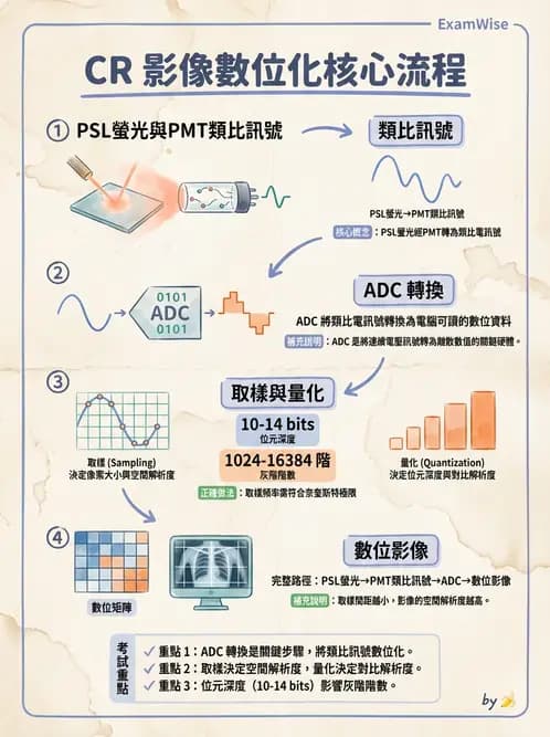 放射 - 電腦放射攝影(CR)原理與應用 - AI 圖文解析預覽