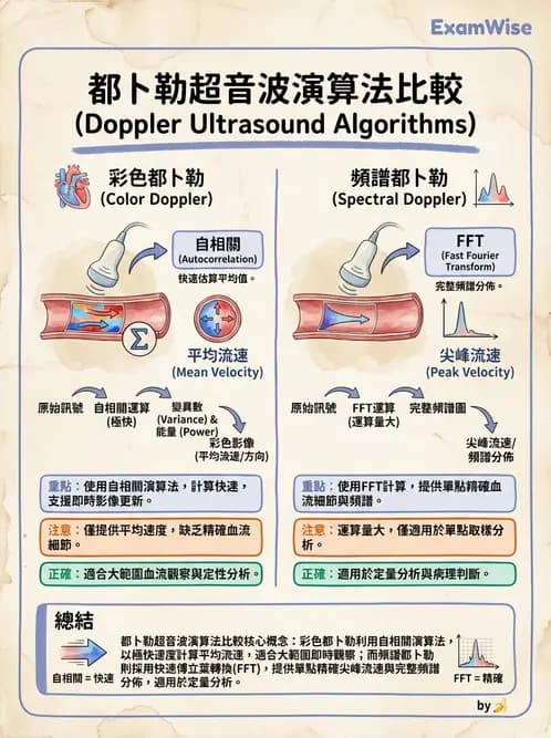 放射 - 都普勒超音波 - AI 圖文解析預覽