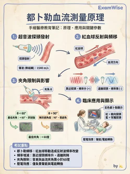 放射 - 都普勒超音波 - AI 圖文解析預覽