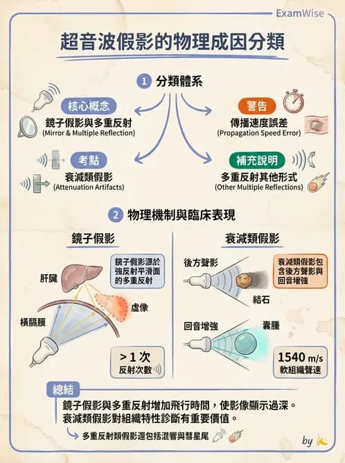 放射 - 超音波進階成像與假影 - AI 圖文解析預覽