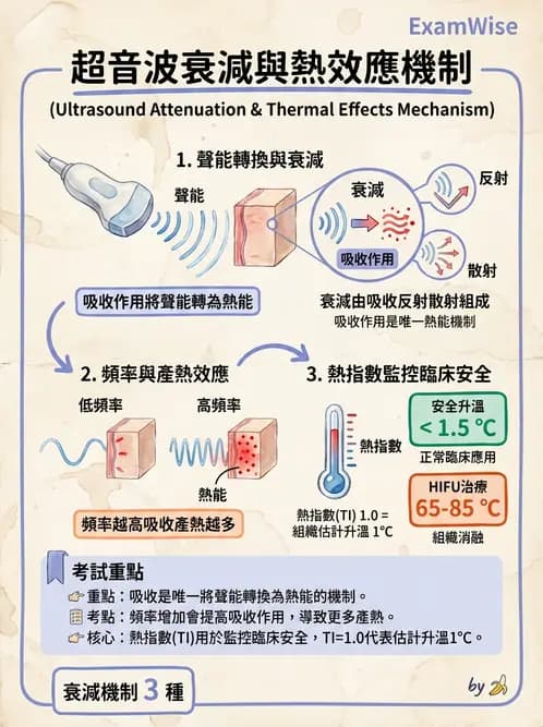 放射 - 超音波物理與系統原理 - AI 圖文解析預覽