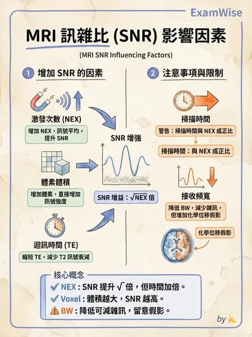 放射 - 射頻系統與線圈 - AI 圖文解析預覽