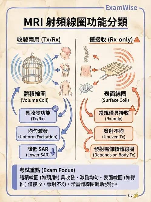 放射 - 射頻系統與線圈 - AI 圖文解析預覽