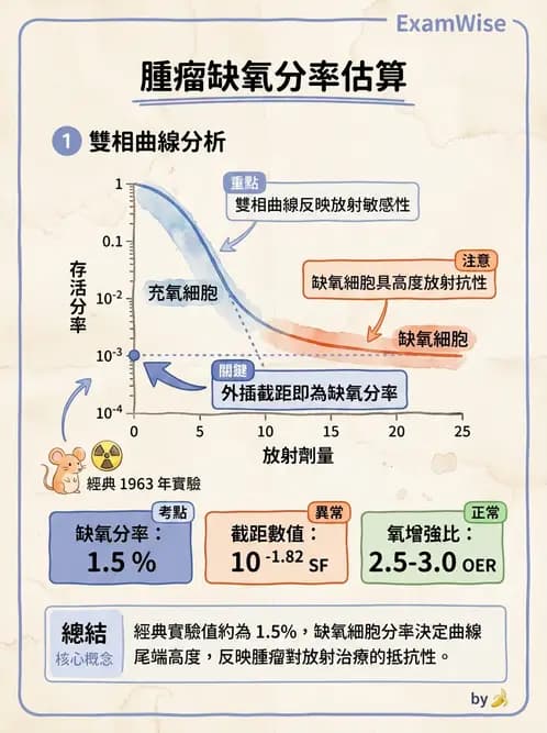 放射 - 細胞存活曲線與週期 - AI 圖文解析預覽