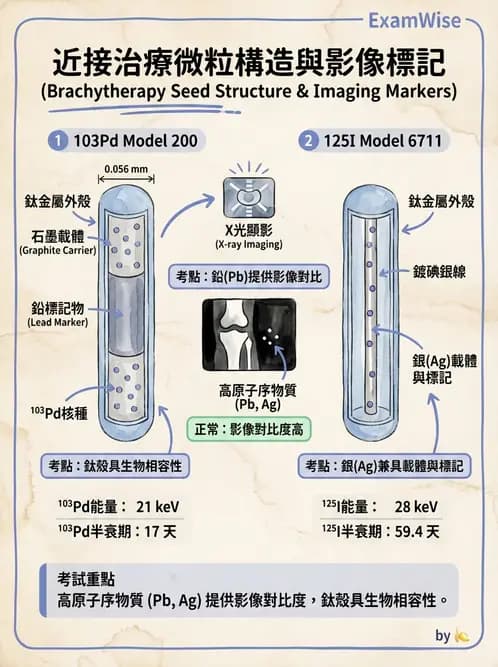 放射 - 插種近接治療 - AI 圖文解析預覽