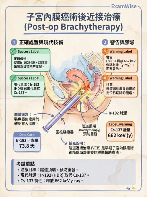 放射 - 腔內近接治療 - AI 圖文解析預覽