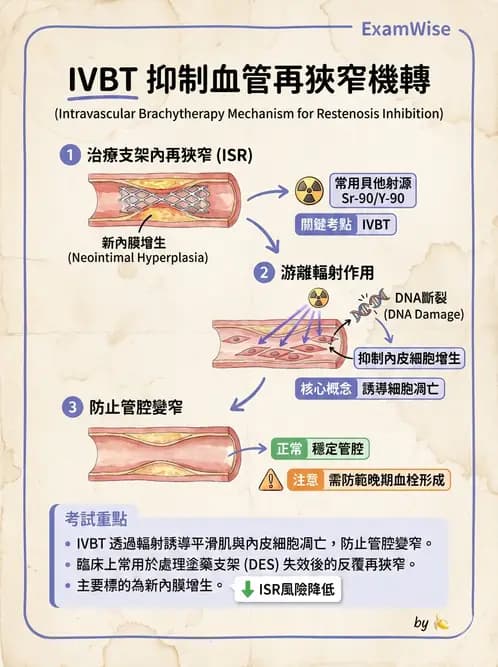 放射 - 血管內近接治療 - AI 圖文解析預覽