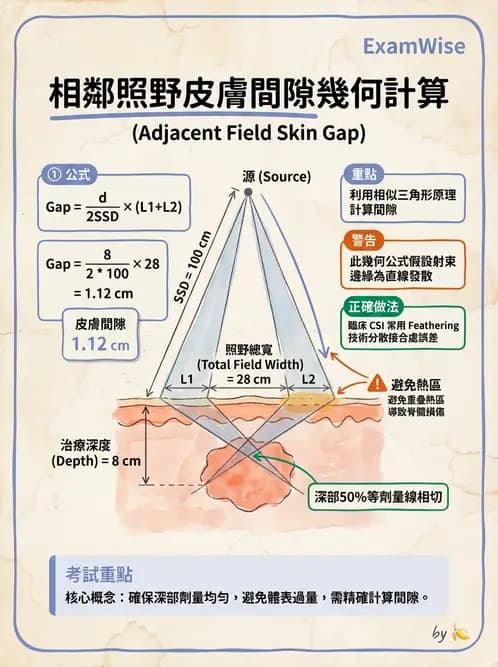 放射 - 放射治療靶區與劑量規範 - AI 圖文解析預覽