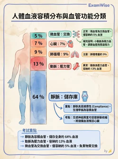 放射 - 心血管生理 - AI 圖文解析預覽