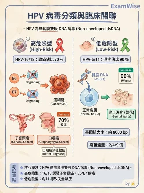 放射 - 惡性腫瘤 - AI 圖文解析預覽