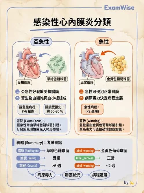 放射 - 心臟及血管疾病 - AI 圖文解析預覽