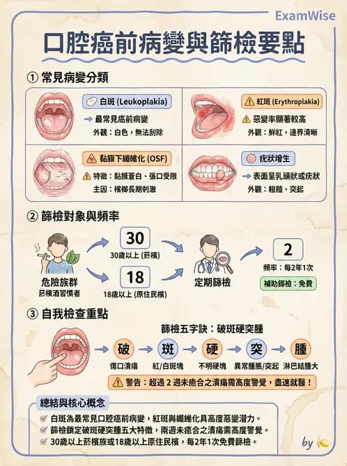 放射 - 口腔及腸胃道疾病 - AI 圖文解析預覽