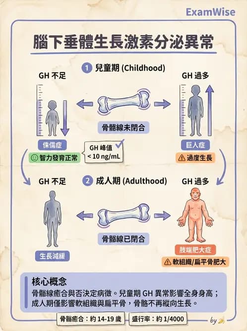 放射 - 內分泌系統疾病 - AI 圖文解析預覽