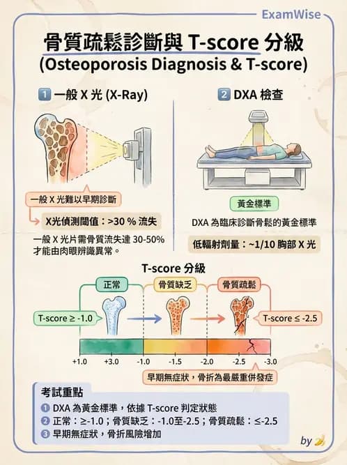 放射 - 感染、修復及其反應 - AI 圖文解析預覽