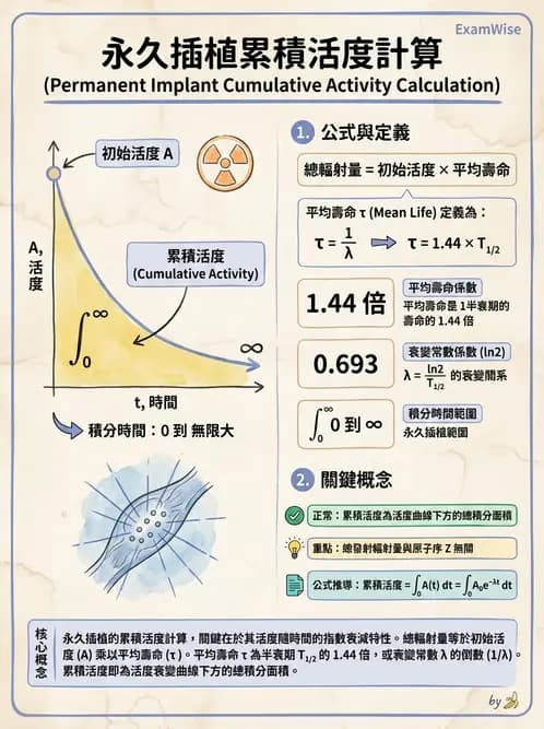 放射 - 體內劑量 - AI 圖文解析預覽