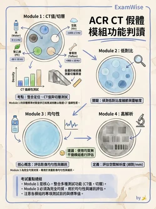 放射 - 透視與數位影像 - AI 圖文解析預覽