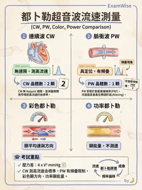 放射 - 超音波成像與都卜勒 - AI 圖文解析預覽