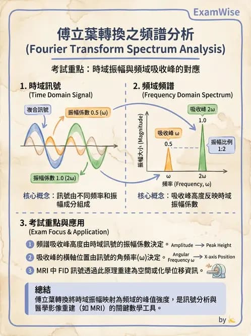 放射 - 空間編碼與影像品質 - AI 圖文解析預覽