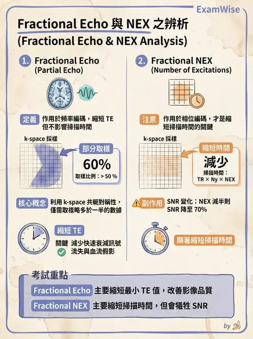 放射 - 空間編碼與影像品質 - AI 圖文解析預覽
