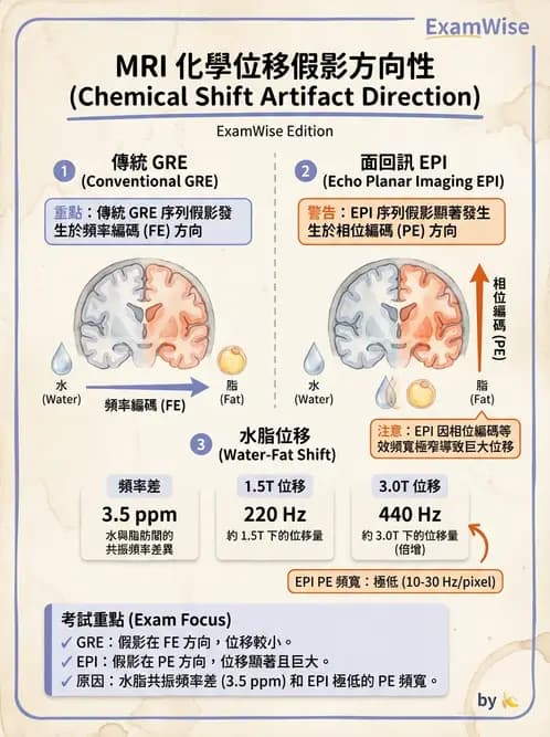 放射 - 空間編碼與影像品質 - AI 圖文解析預覽