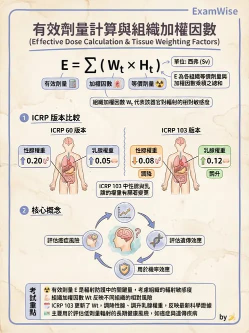 放射 - 輻射防護劑量量 - AI 圖文解析預覽