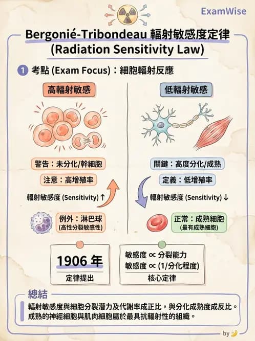 放射 - DNA損傷修復與細胞效應 - AI 圖文解析預覽