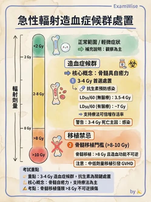 放射 - 全身性輻射效應 - AI 圖文解析預覽