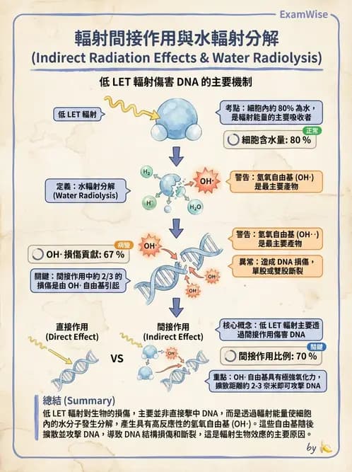 放射 - 輻射物理生物基礎 - AI 圖文解析預覽