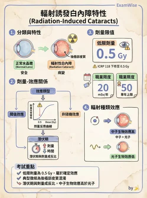 放射 - 全身性輻射效應 - AI 圖文解析預覽