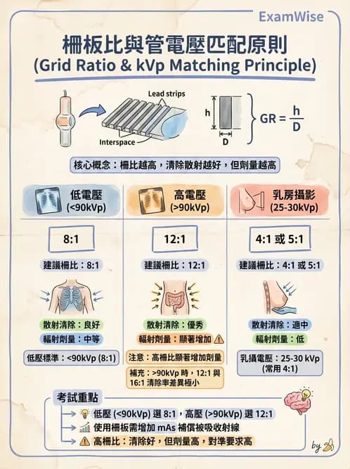 放射 - X光成像系統與影像品質 - AI 圖文解析預覽