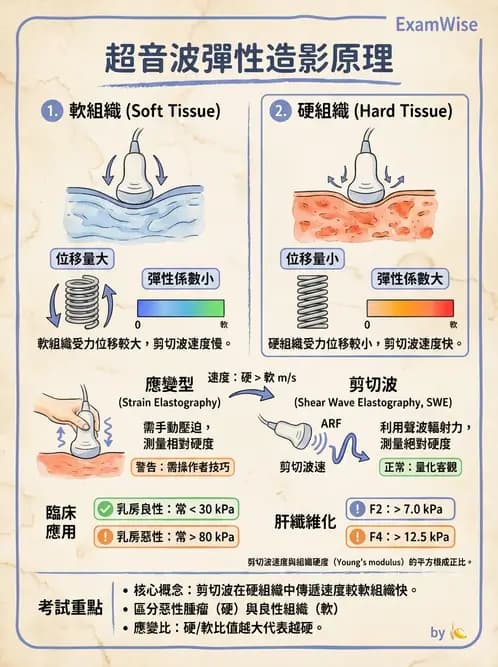 放射 - 超音波進階成像與假影 - AI 圖文解析預覽
