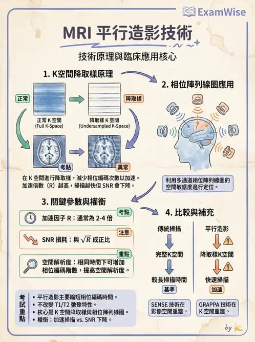 放射 - 射頻系統與線圈 - AI 圖文解析預覽