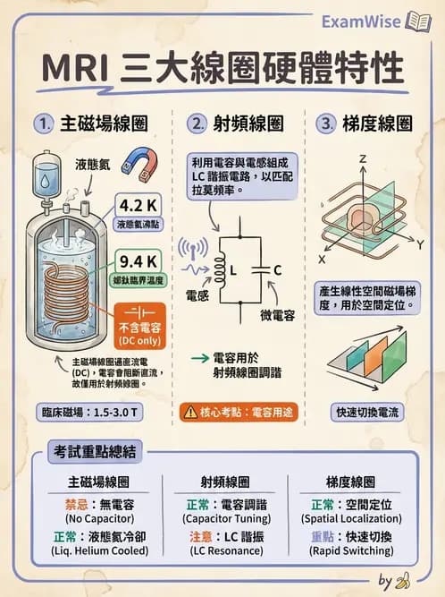 放射 - 主磁場、磁鐵類型與勻場 - AI 圖文解析預覽