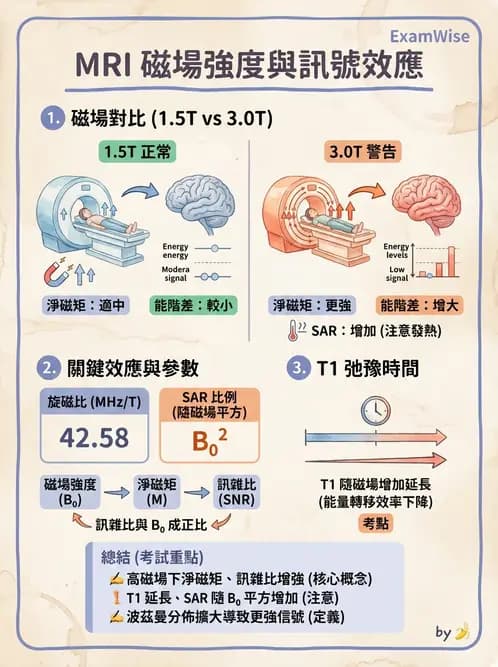 放射 - 主磁場、磁鐵類型與勻場 - AI 圖文解析預覽