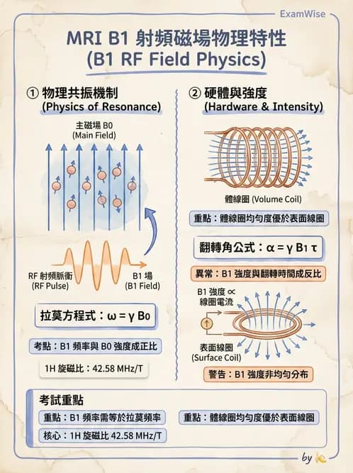 放射 - 射頻系統與線圈 - AI 圖文解析預覽
