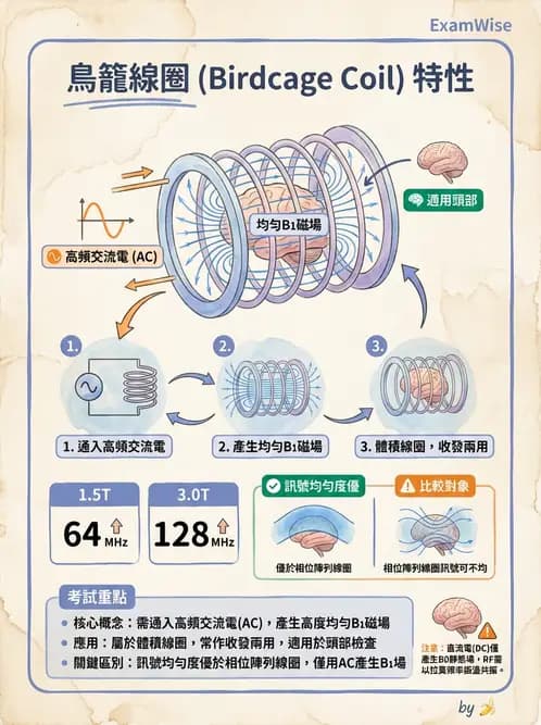 放射 - 射頻系統與線圈 - AI 圖文解析預覽