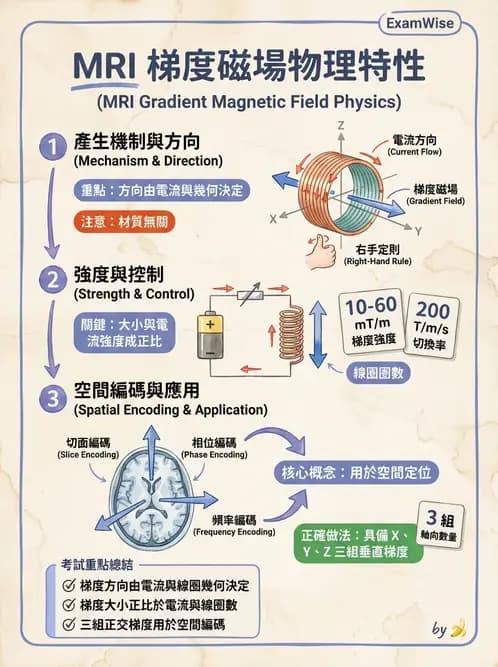 放射 - 梯度線圈與空間編碼 - AI 圖文解析預覽