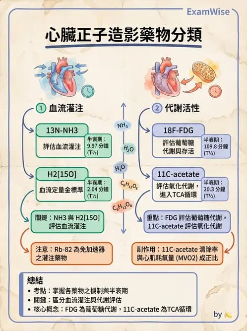 放射 - PET校正、影像重建與臨床操作 - AI 圖文解析預覽