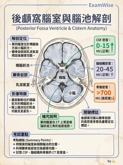 放射 - 頭頸部CT診斷 - AI 圖文解析預覽