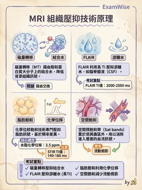 放射 - MRI脈衝序列與訊號技術 - AI 圖文解析預覽