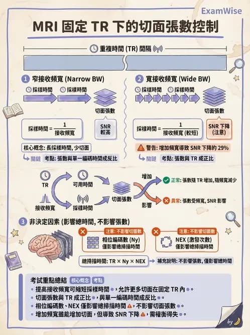 放射 - MRI脈衝序列與訊號技術 - AI 圖文解析預覽