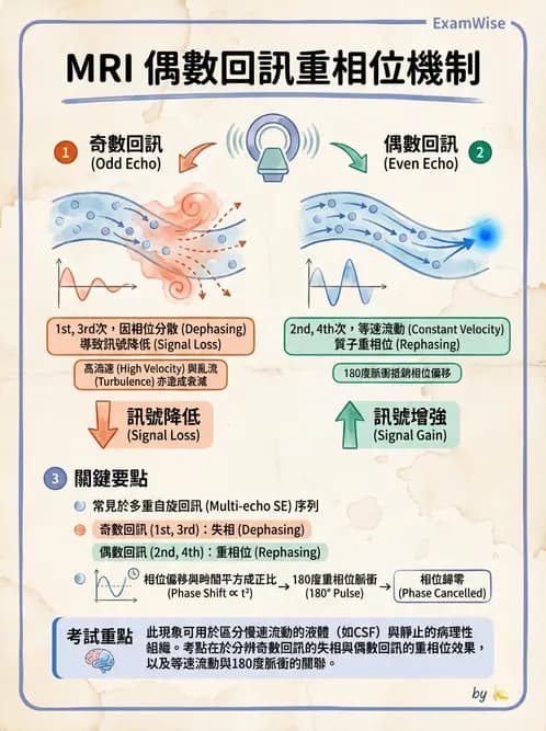 放射 - MRI脈衝序列與訊號技術 - AI 圖文解析預覽
