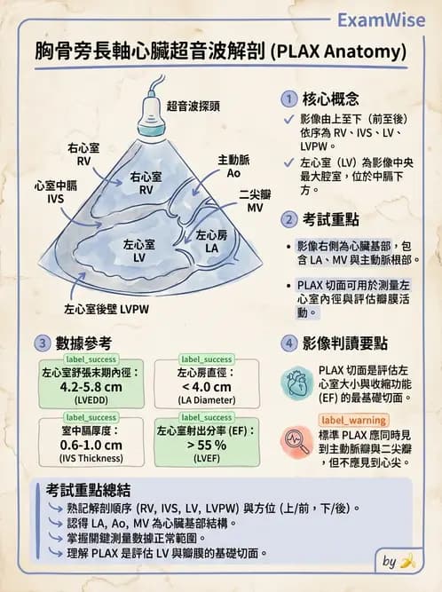 放射 - 腎臟血管與其他超音波 - AI 圖文解析預覽